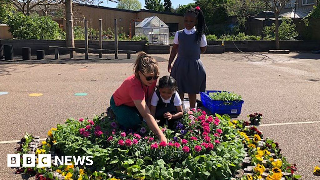 Tiny fraction of the at risk children in schools