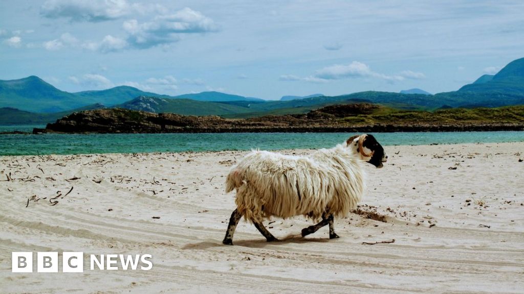 Your pictures of Scotland 17 - 24 July - BBC News