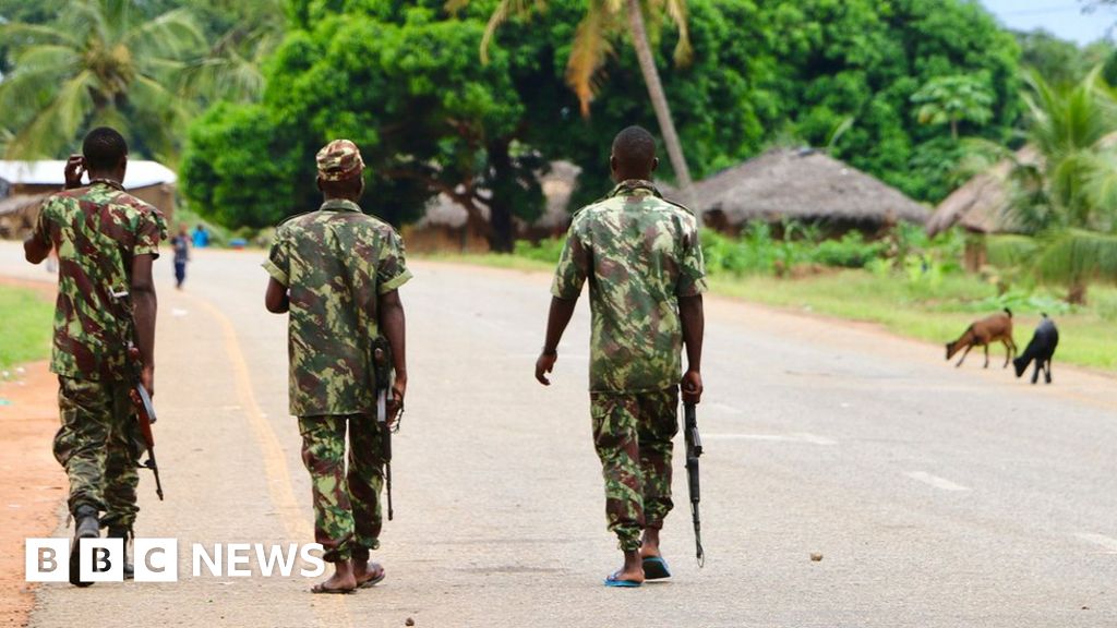 Jihadists seize Mozambique town in gas-rich region