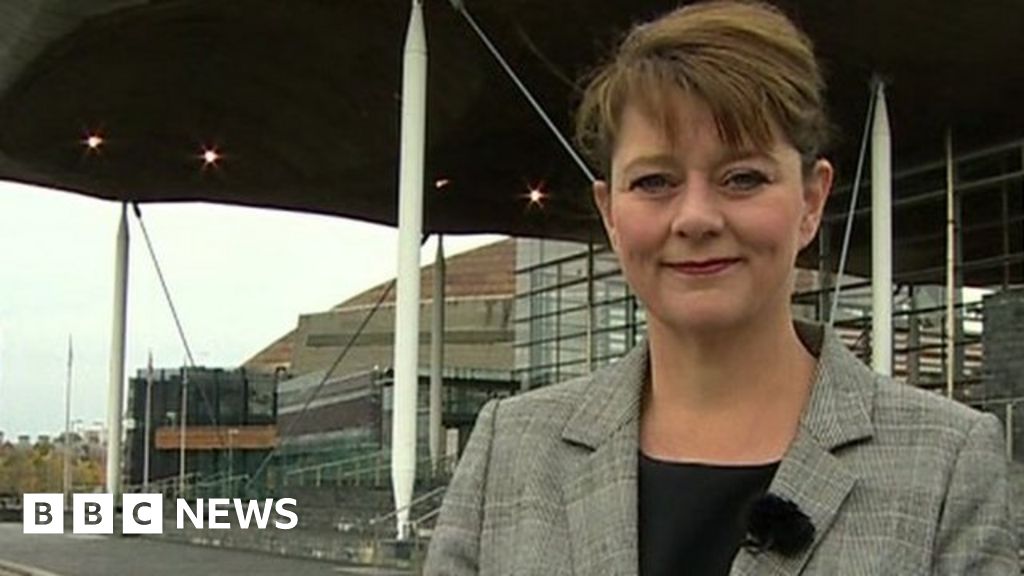 Plaid Cymru Leader On Welsh Assembly Elections Bbc News