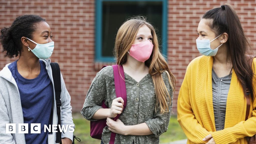 Face masks No change to school advice before March