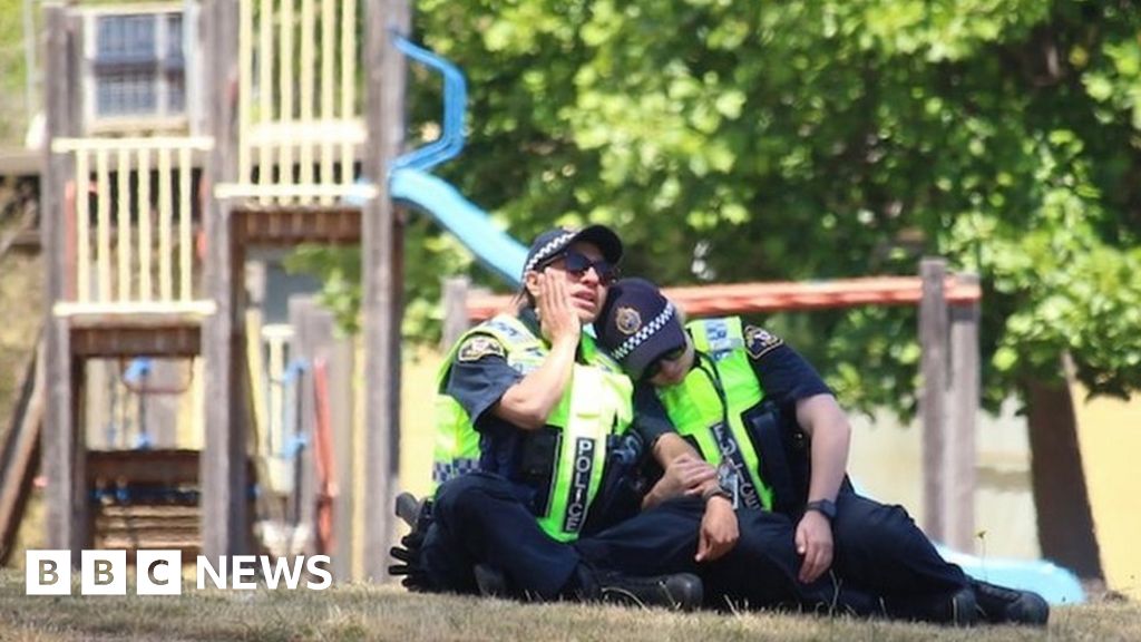 Tasmania bouncy castle fall: Four children killed and five others injured – bbc.com