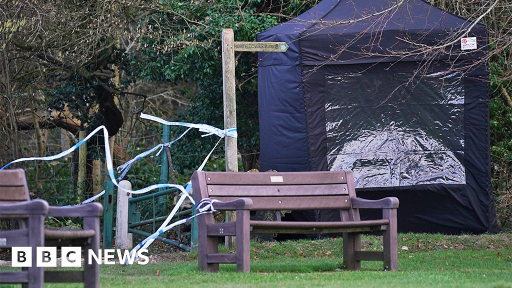 Dog walker Natasha Johnston died from neck bites in Caterham attack