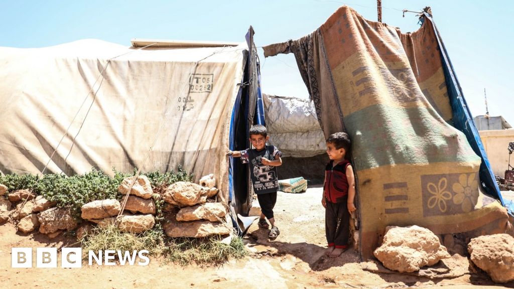 Syria’s cross-border aid lifeline faces closure after UN row
