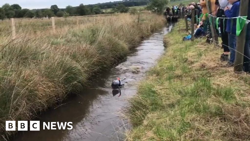 World Bog Snorkelling Championships return to Powys - BBC News