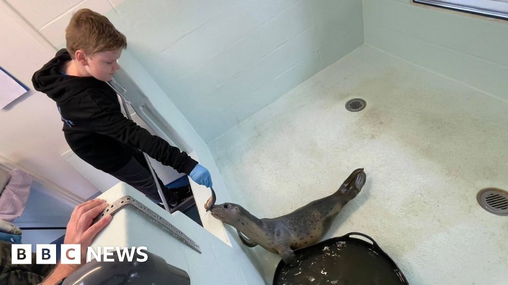 Boy, 11, gives Tynemouth seal hospital biggest donation