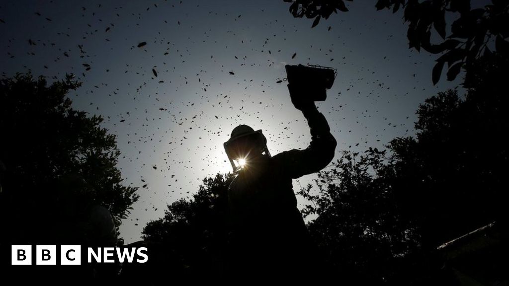 Week In Pictures 14 20 April 2018 Week In Pictures 14 20 April 2018