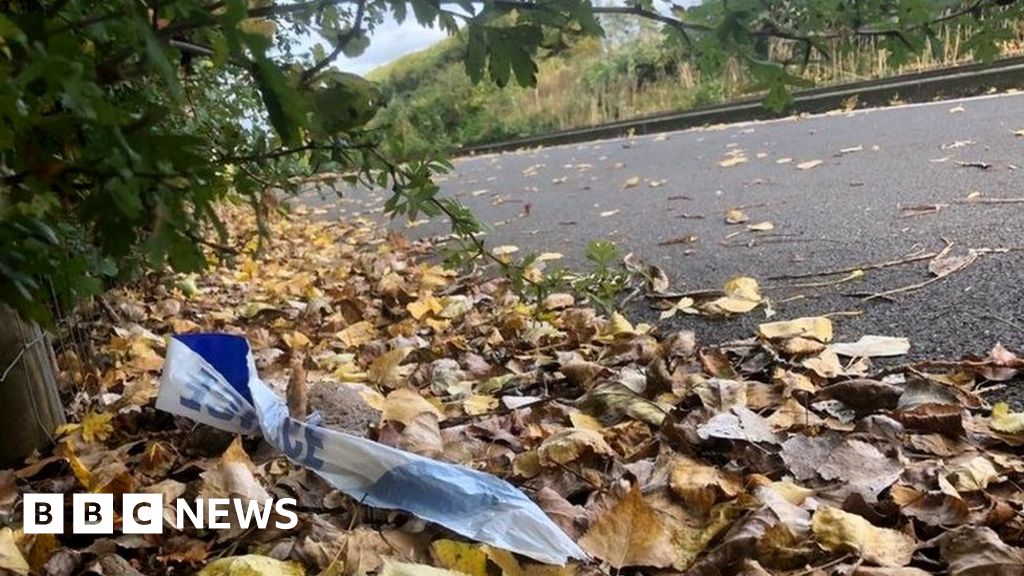 Car plunges into Charles River after crash on Memorial Drive