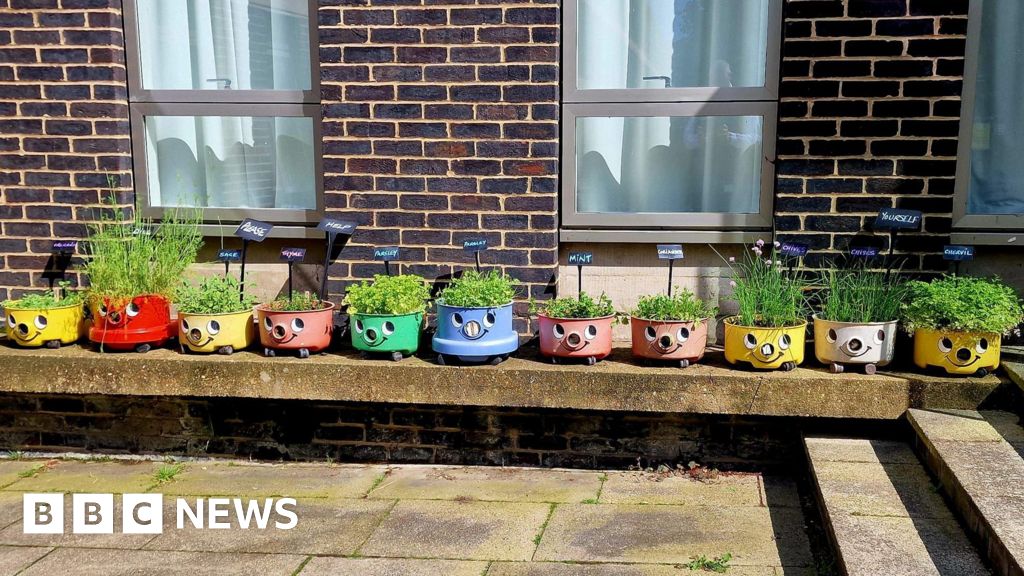 Henry vacuum cleaners planted with herbs