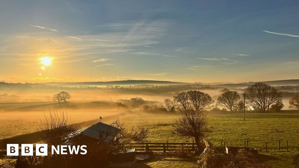 Hampshire & Isle Of Wight's Big Picture: 11 December - 17 December 2023 ...