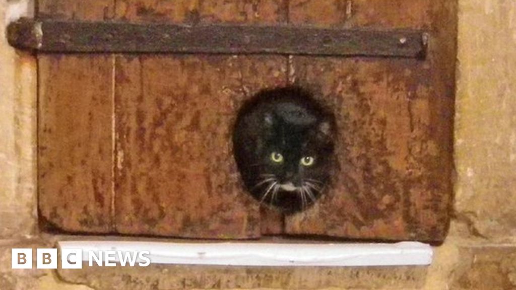 Exeter Cathedral door hole could be world's oldest cat flap BBC News