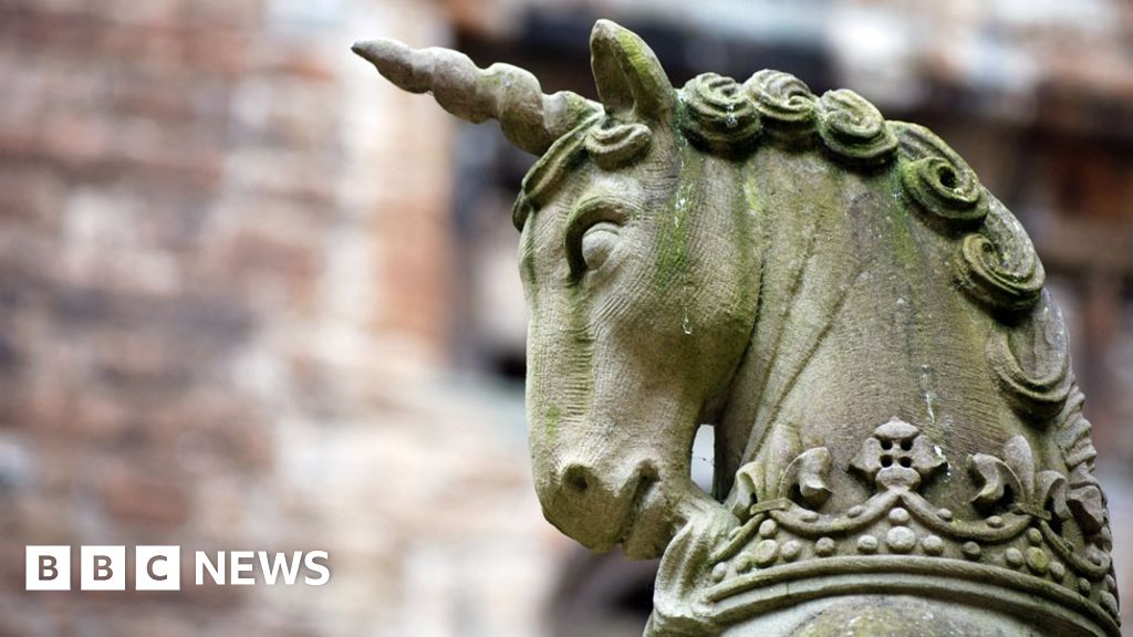 Where Do Unicorns Go To University Bbc News
