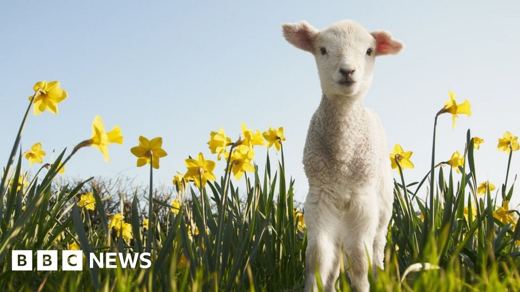 Spring 2019: Why is today first day of spring - Meteorological vs  astronomical spring date, UK, News