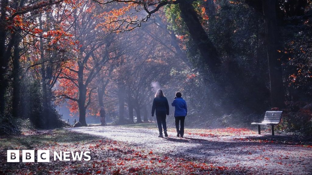 Hampshire & Isle Of Wight's Big Picture: 27 November - 3 December 2023 ...