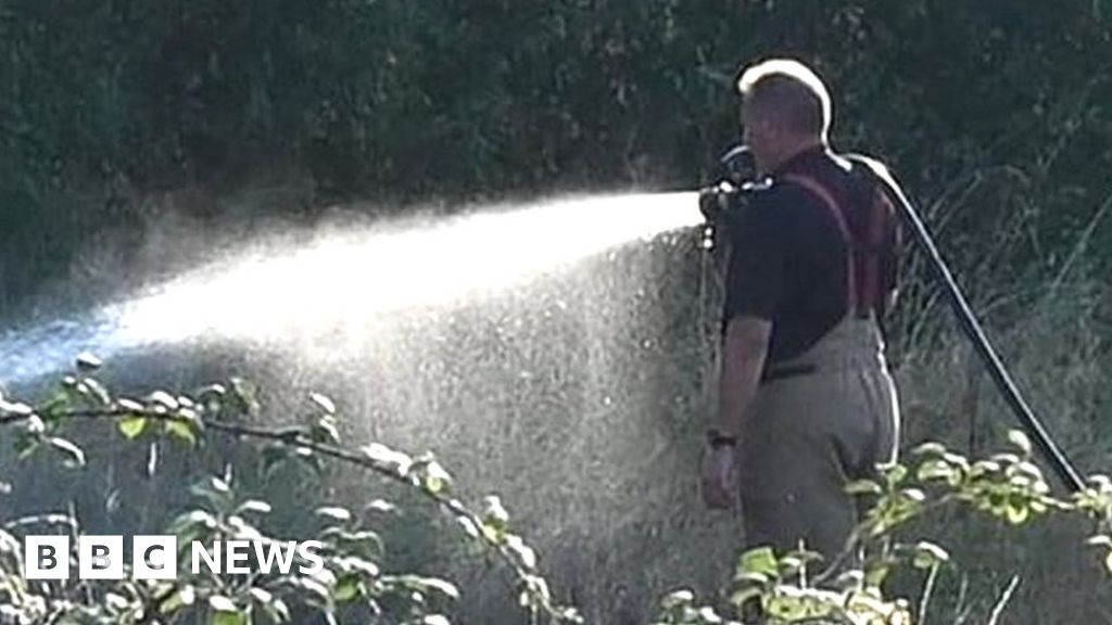 Northampton field fire caused by gas cylinder explosions BBC News