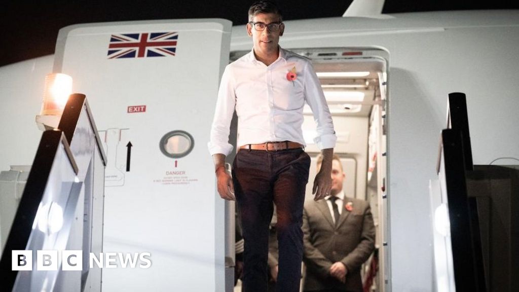 COP27: Sunak urges global push to boost clean growth