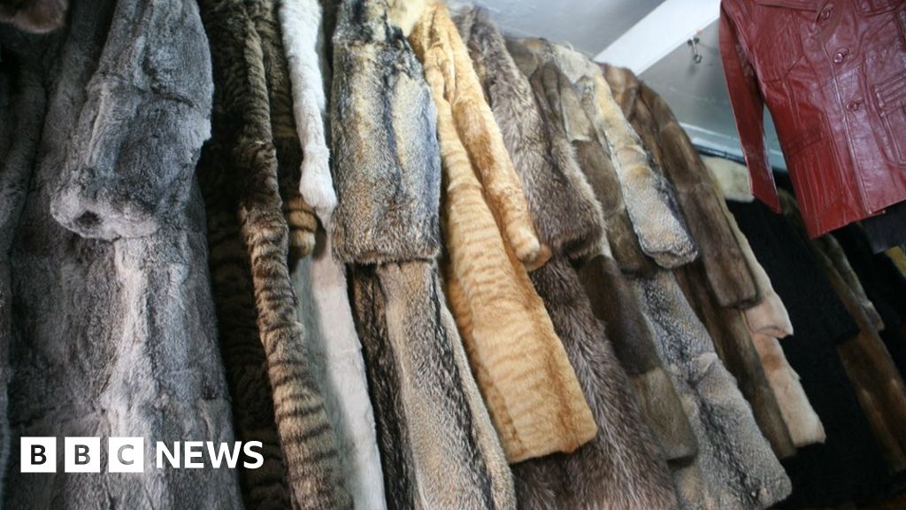 California bans animal fur products