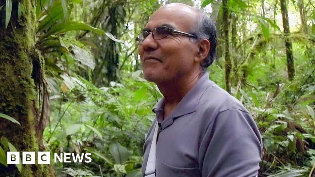 The man who grew his own Amazon rainforest