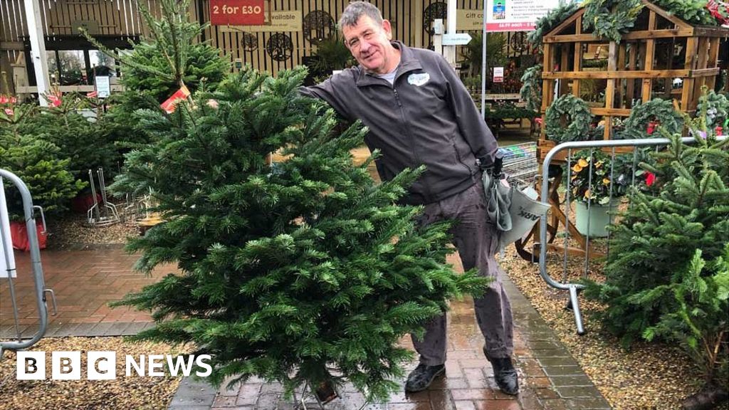How a wonky Christmas tree put March on the map