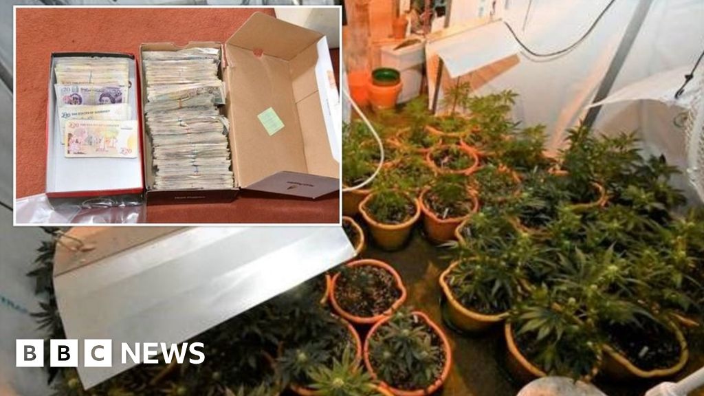 Guernsey major drugs operation dismantled say officials BBC News