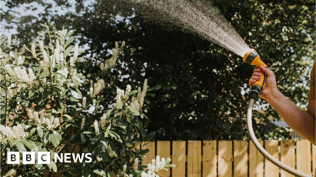 Thames Water plans to introduce hosepipe ban 'in weeks'