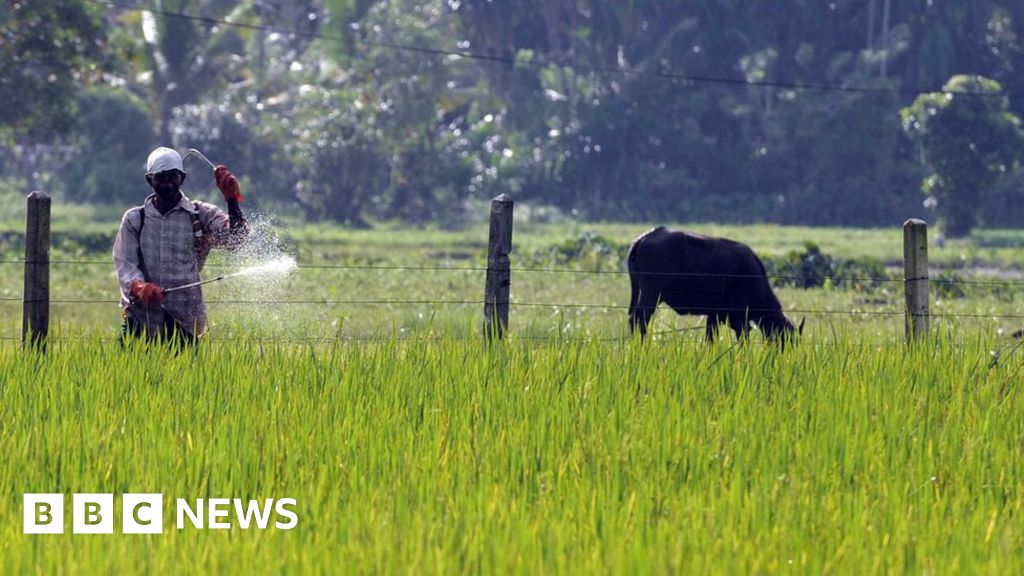Which countries have banned pesticides used in suicide?