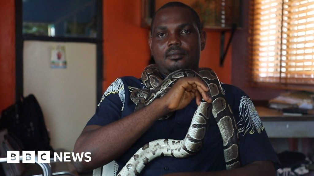 Lagos 'snake man' on his conservation battle