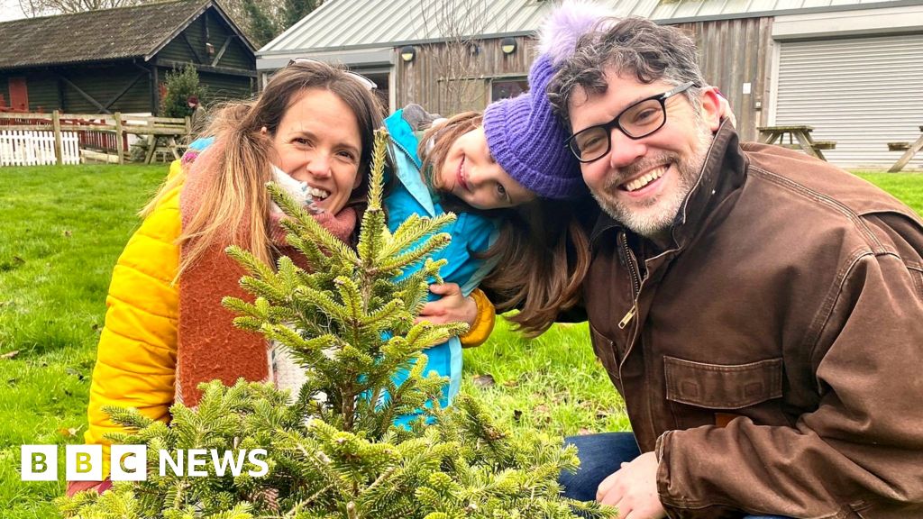 Christmas tree hire offer from Bristol community farm BBC News