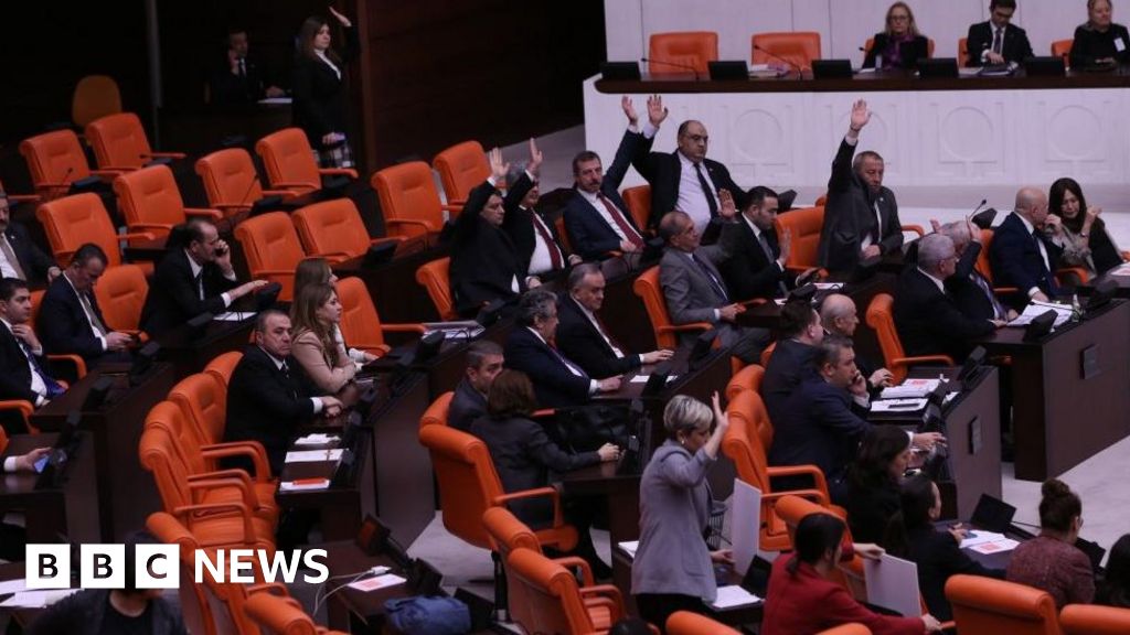 Turkey parliament backs Sweden's Nato membership
