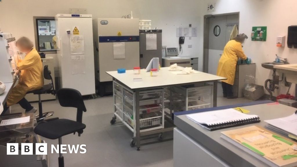 Salisbury District Hospital 'gave Porton Down human tissue without consent'