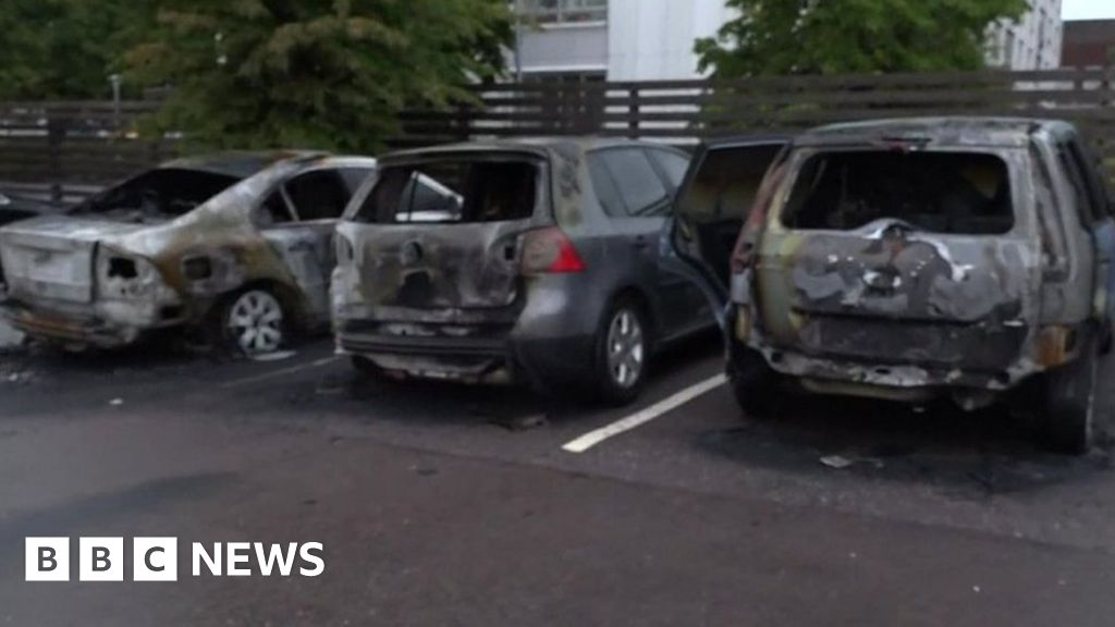 Sweden cars: 80 set on fire by gangs in several cities
