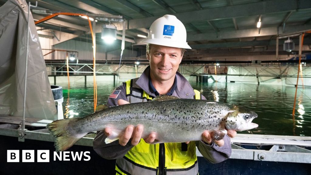 The salmon you buy in the future may be farmed on land