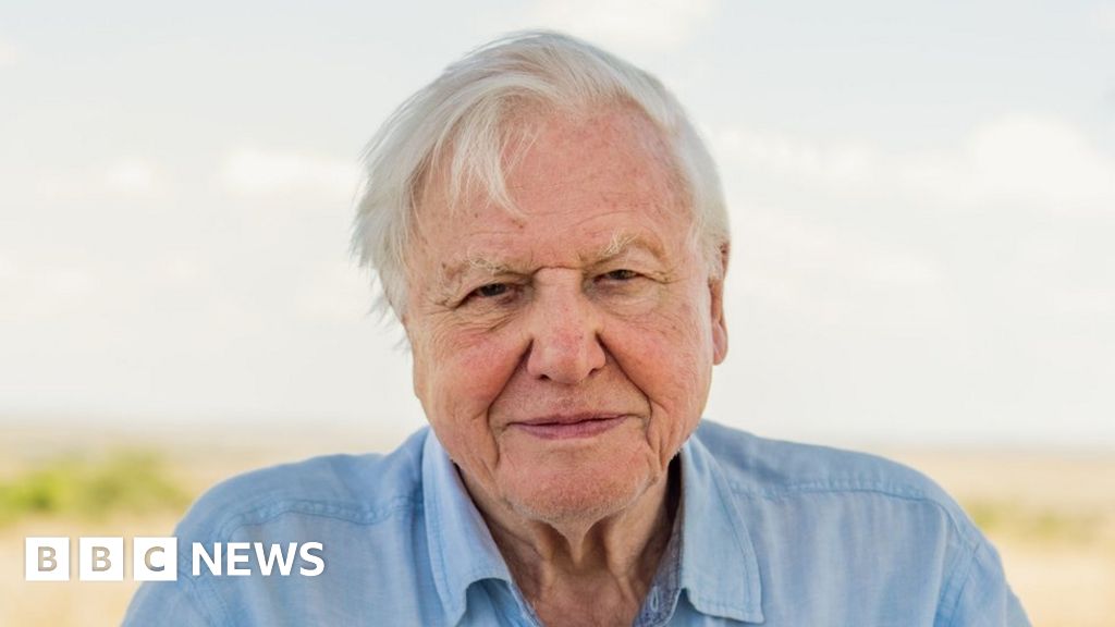 forkorte Tæl op spil Sir David Attenborough warns world leaders over extinction crisis - BBC News