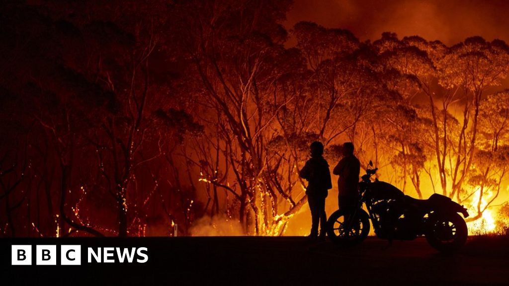 Australia fires: Royal Family sends 'thoughts and prayers' thumbnail