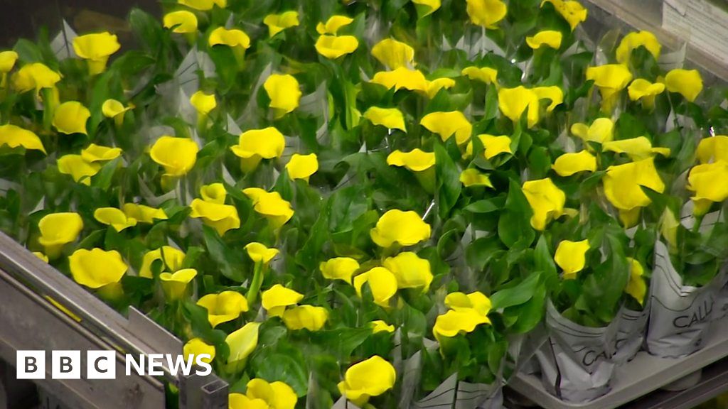 Why are flowers getting more expensive? BBC News