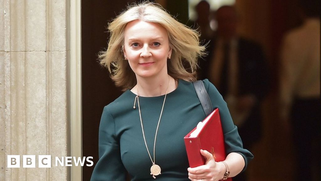 Liz Truss replaces Lord Frost in post-Brexit talks
