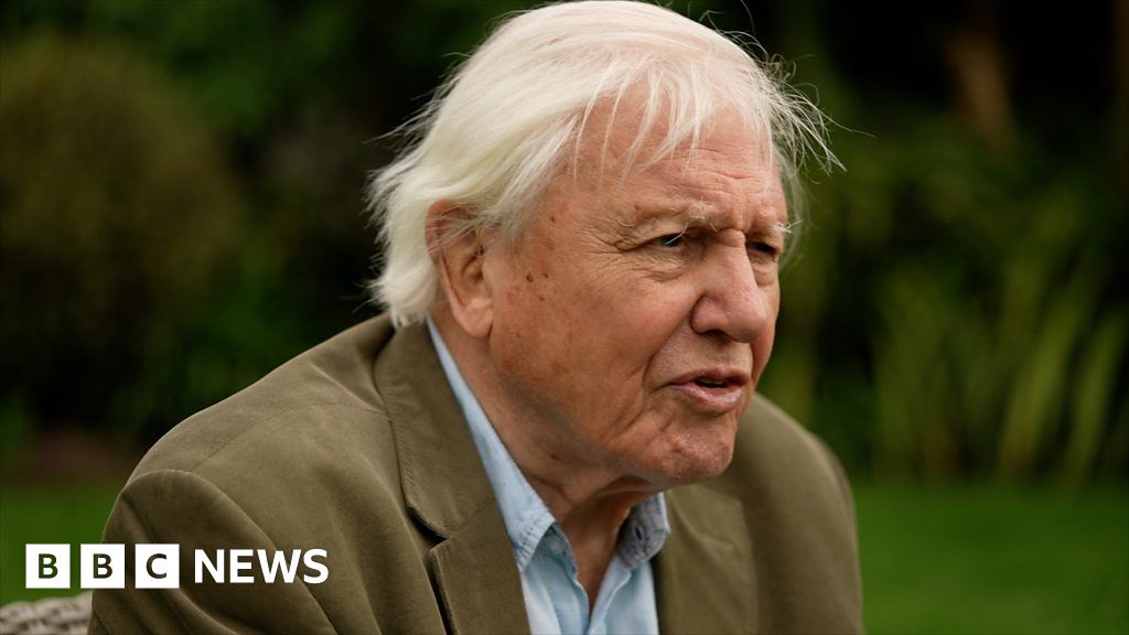 Sir David Attenborough Urges Nations To Take Climate Action    121219377 P0b07315 