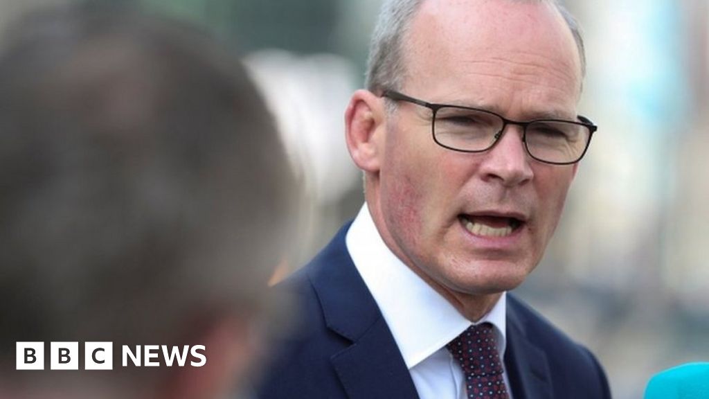 Simon Coveney: Man and woman arrested over Coveney security alert