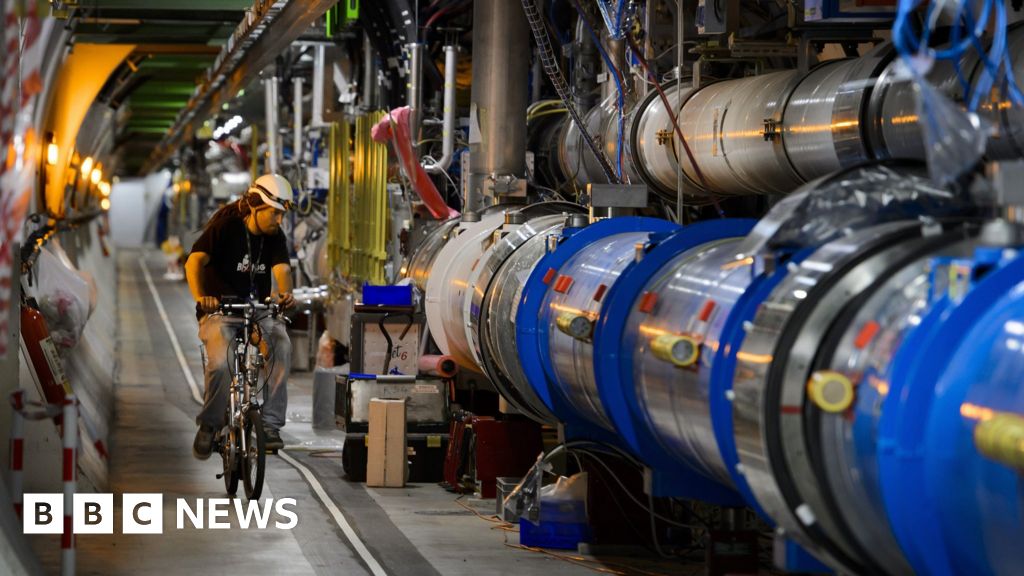 Large Hadron Collider: Weasel causes shutdown