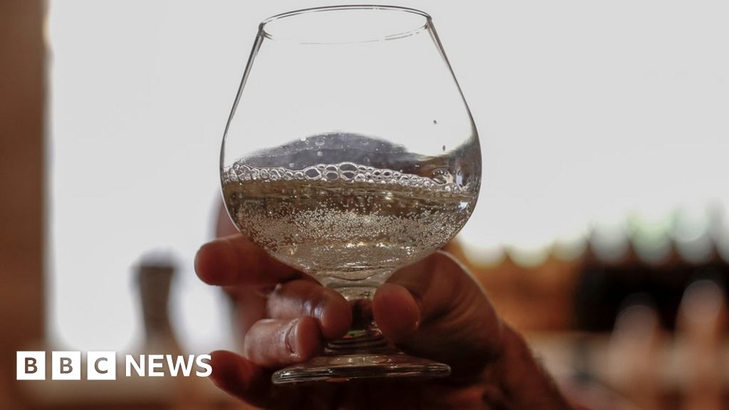 Israeli researchers brew 'ancient beer'