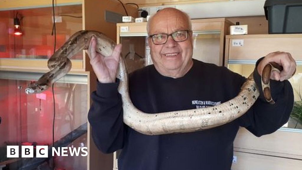 Seven foot snake falls from attic hatch