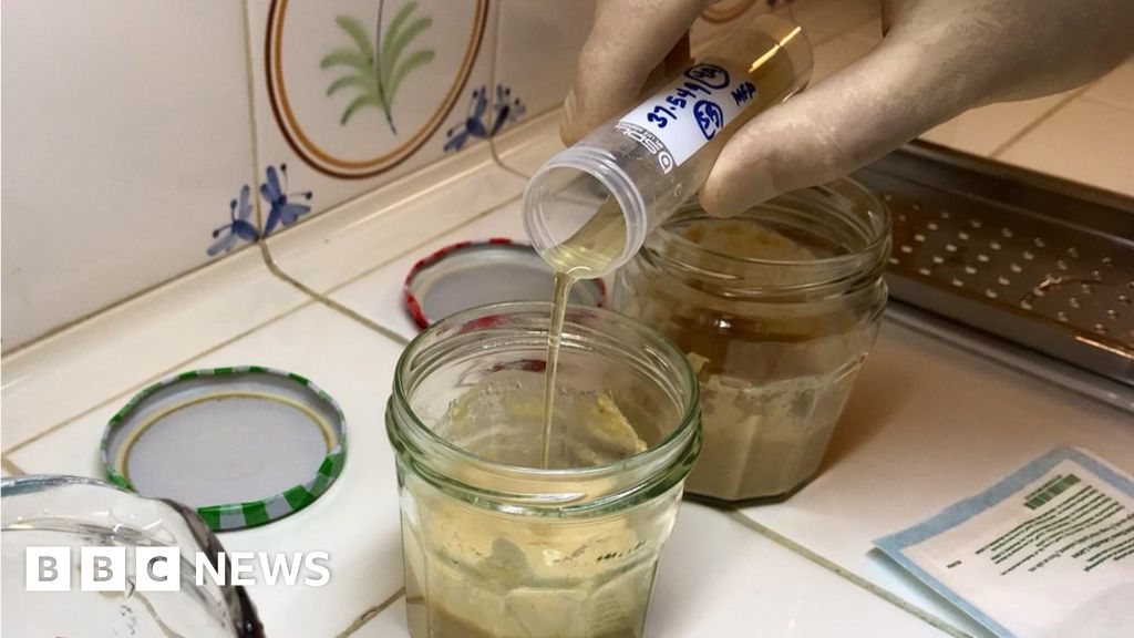 The ancient Egyptian yeasts being used to bake modern bread