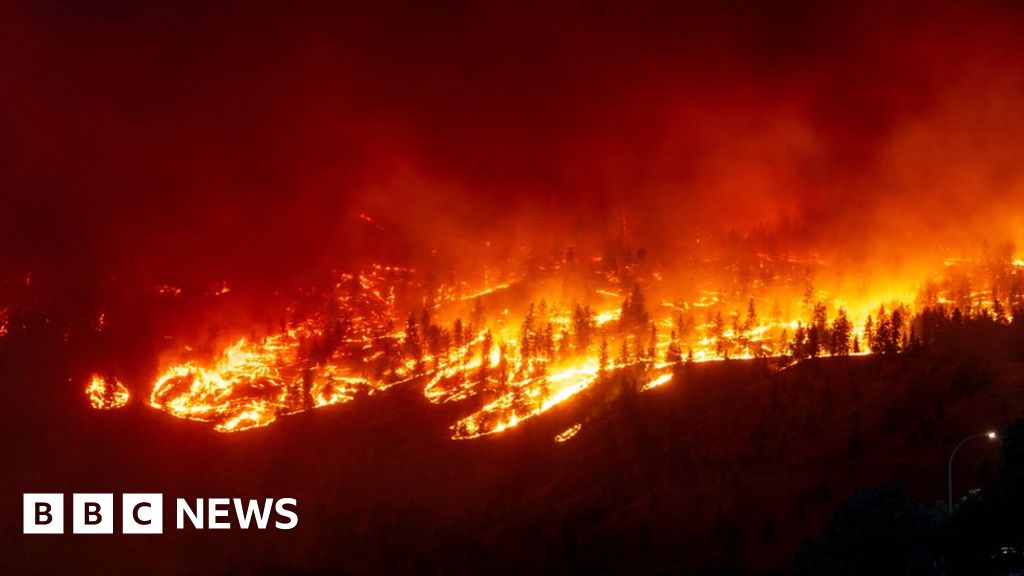 Canada wildfires: British Columbia province declares emergency