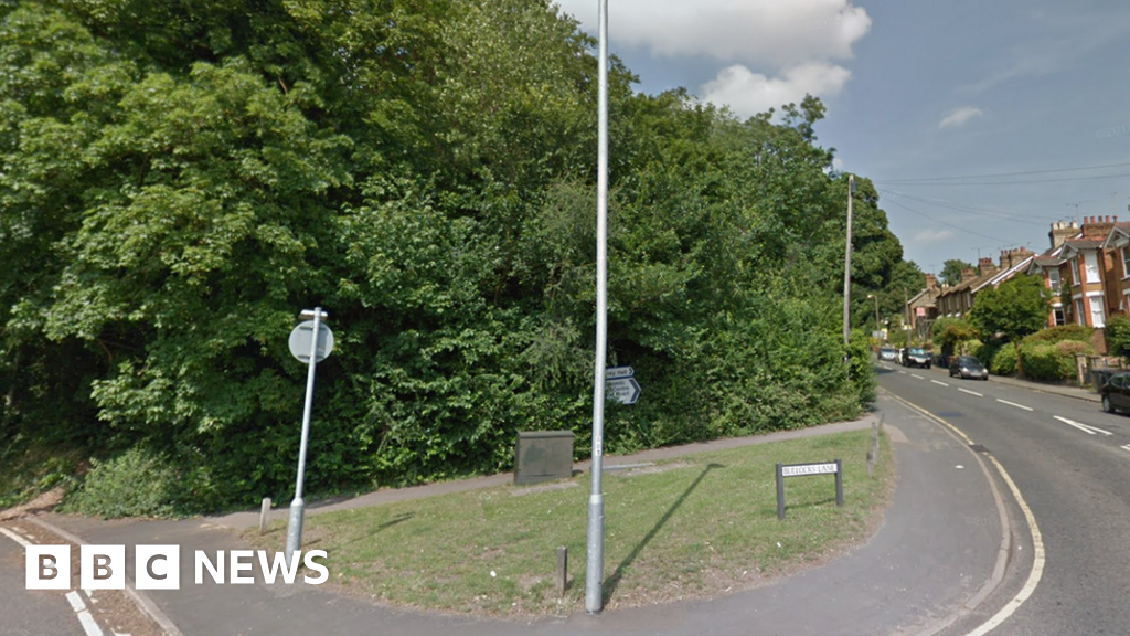 Man arrested over Hertford woodland death released