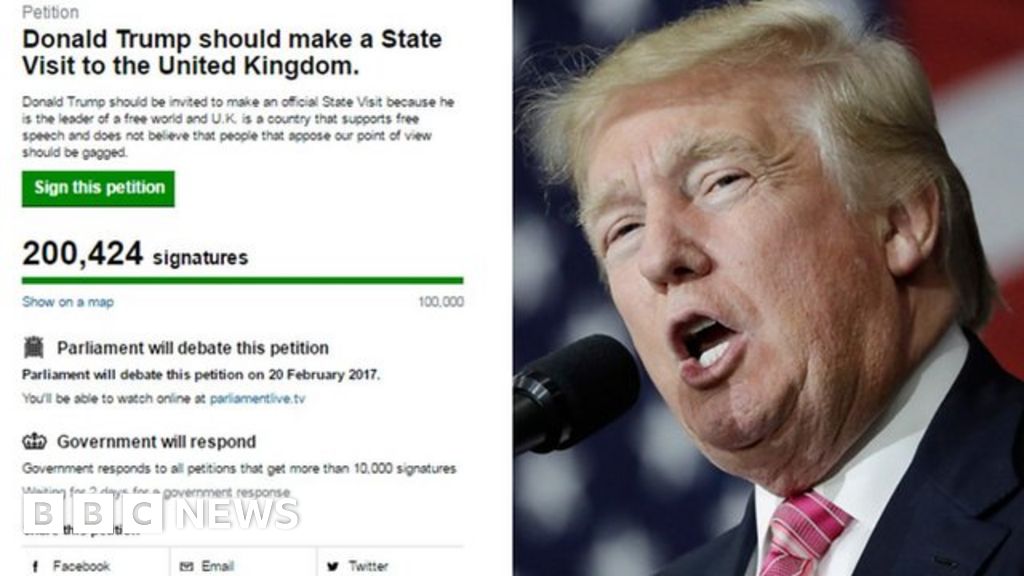 'My 13-year-old daughter wrote pro-Trump petition' - BBC News