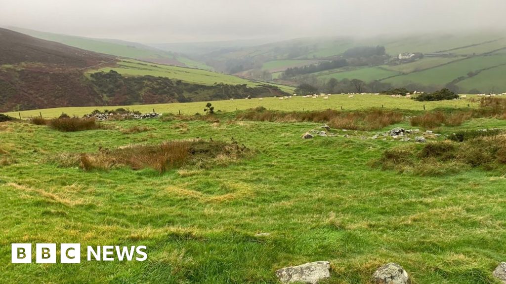 British Isles rainforest restoration to begin on Isle of Man and in ...