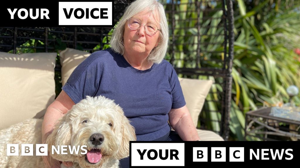 More pets being put down due to rising vet bills, BBC told