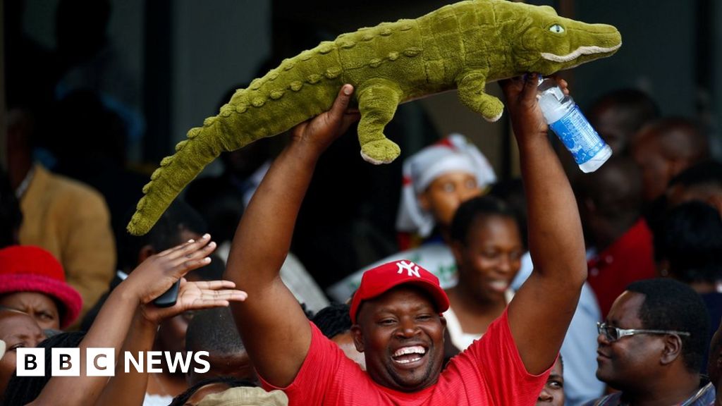 Emmerson Mnangagwa: The 'crocodile' Who Snapped Back - BBC News