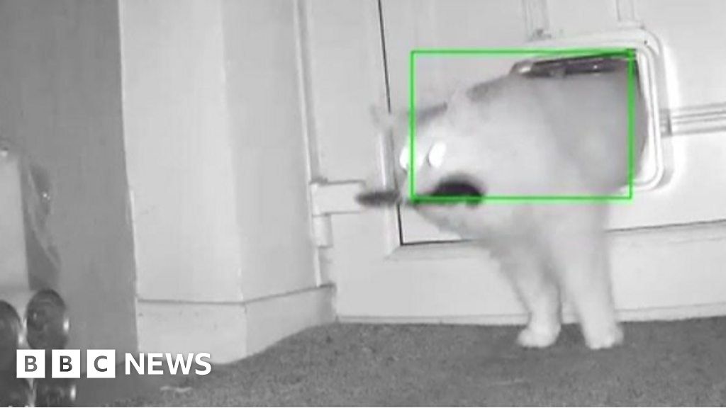 Flintshire cat burglar caught on CCTV with stolen knife