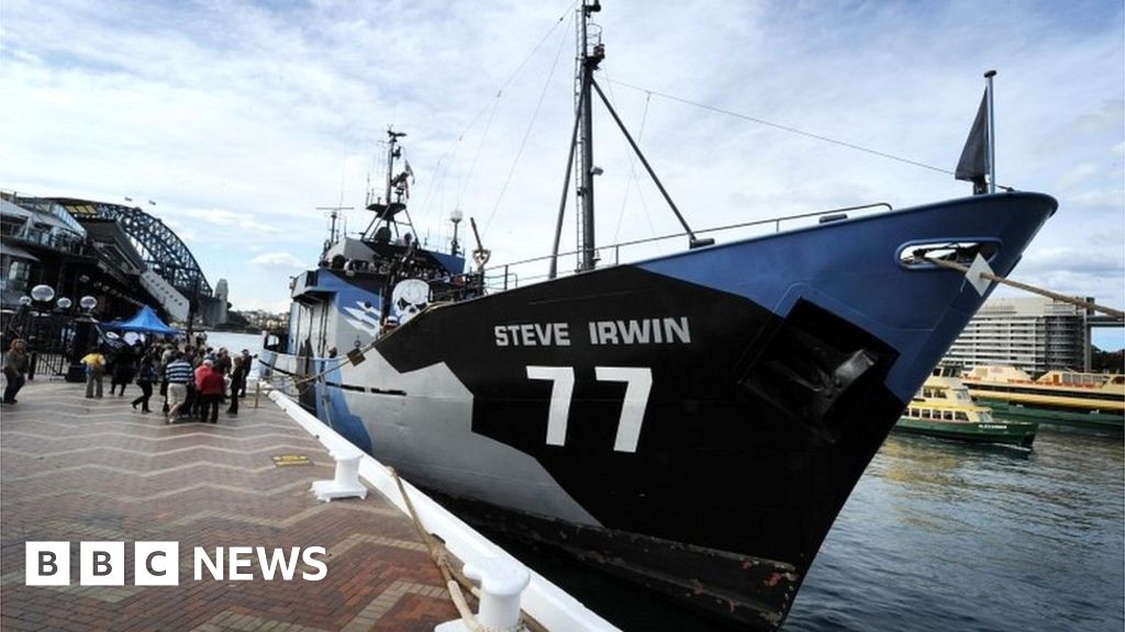  Anti whaling  activists fail to find Japan fleet BBC News